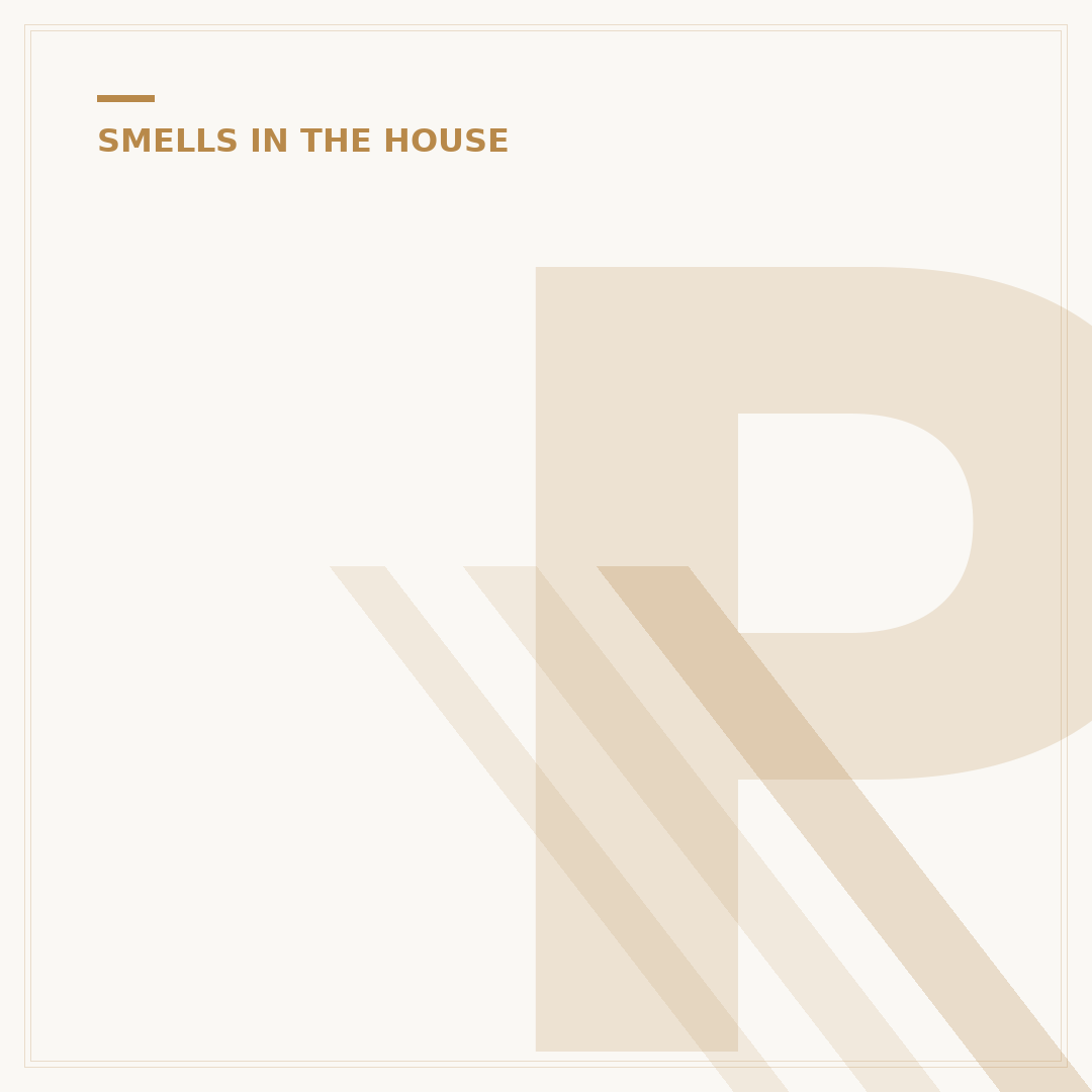 Petrol Smell in House: Causes and How to Remove It