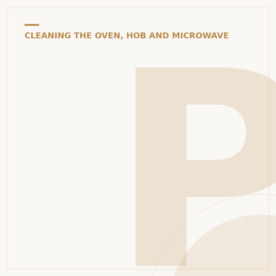 Pro Foam Oven Cleaner: What to Know