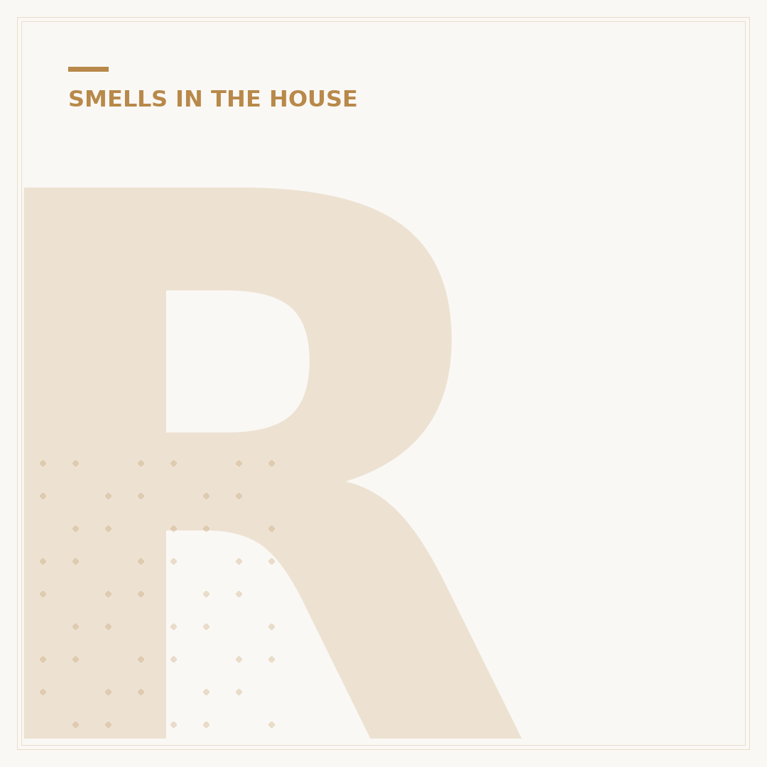 Rotten Egg Smell in House: Causes & Solutions