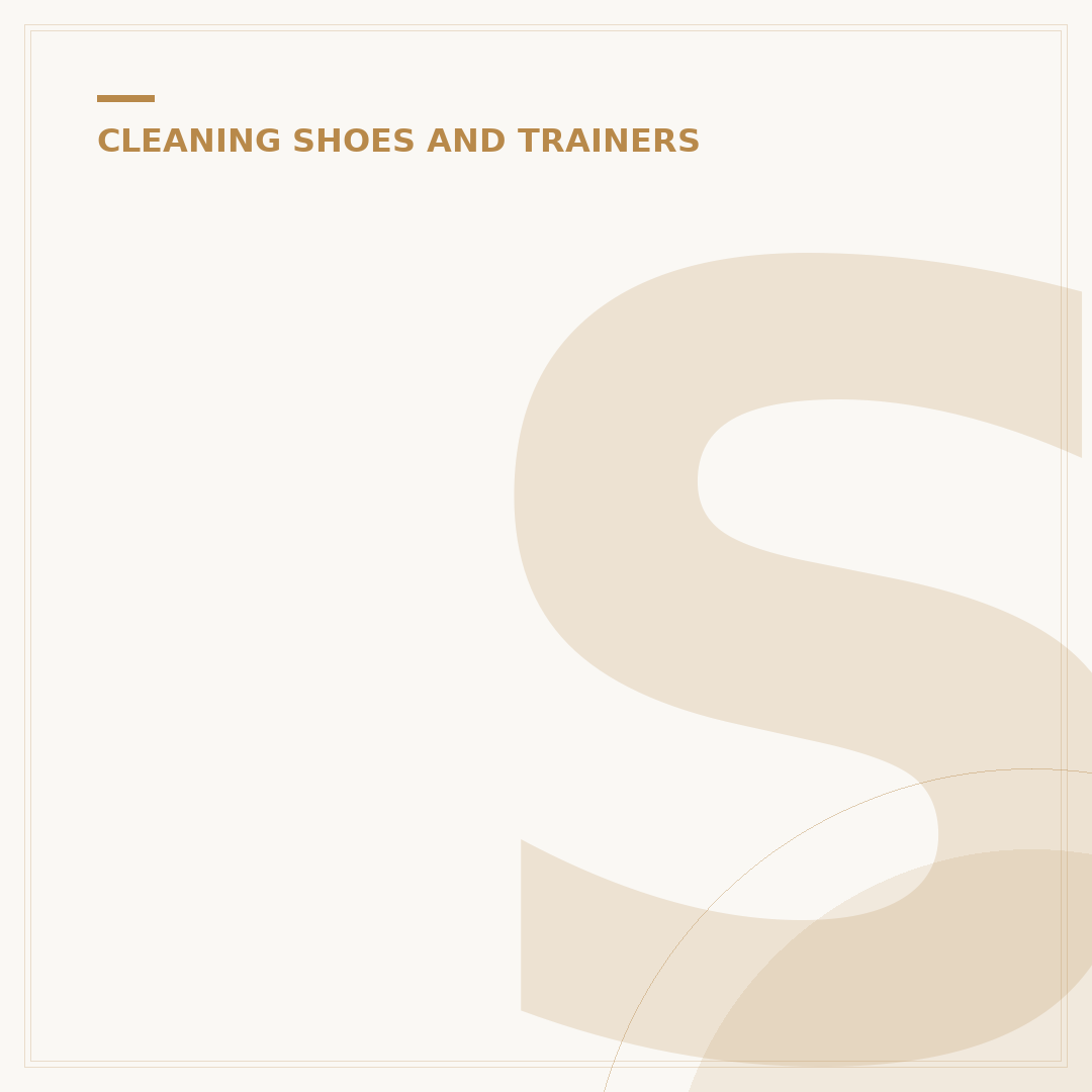 Saphir Cream Shoe Polish: Care and Application