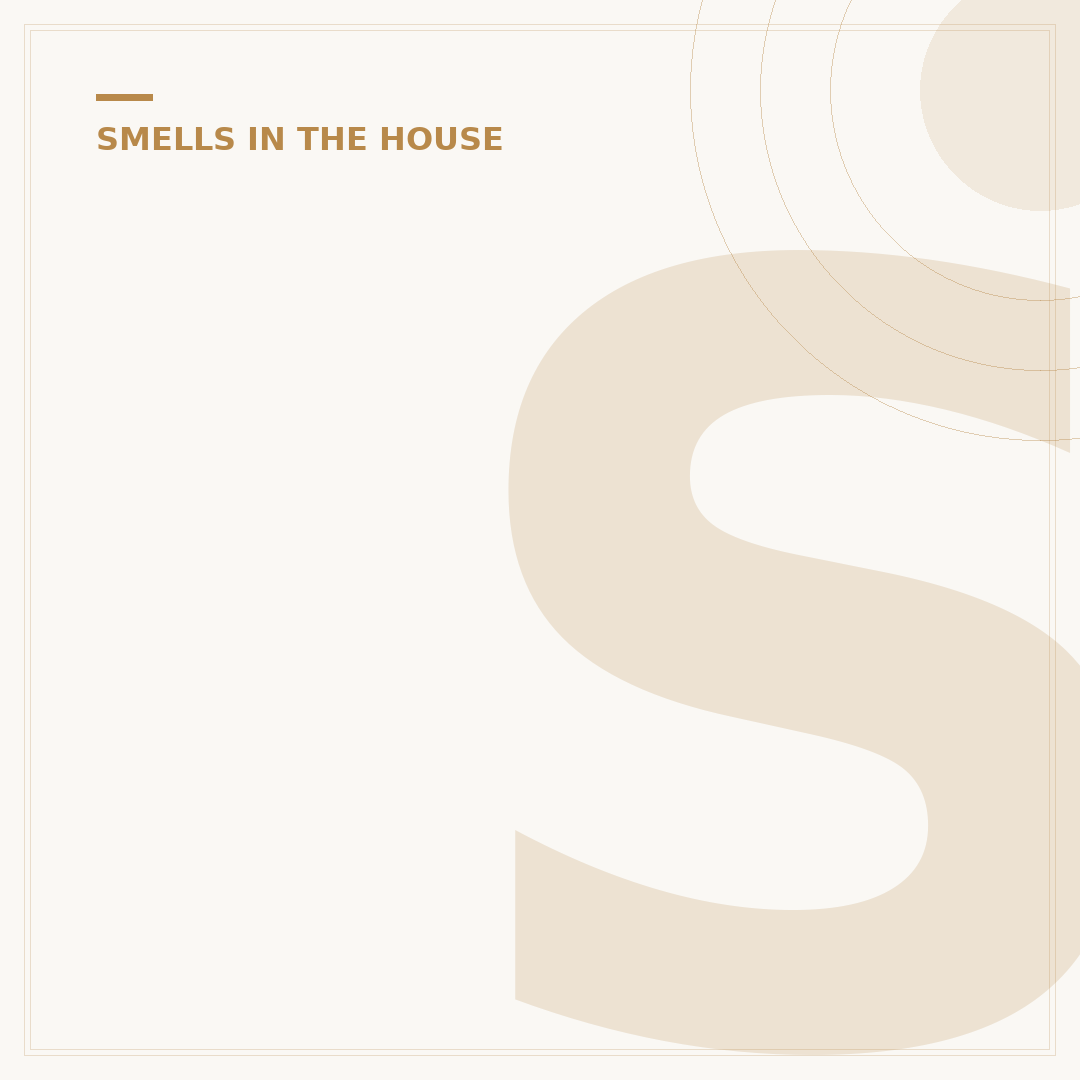 Sewage Smell in House: Causes and How to Fix