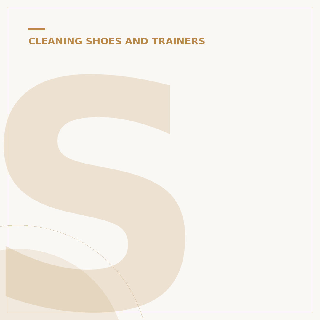 Shoe Polish Brush