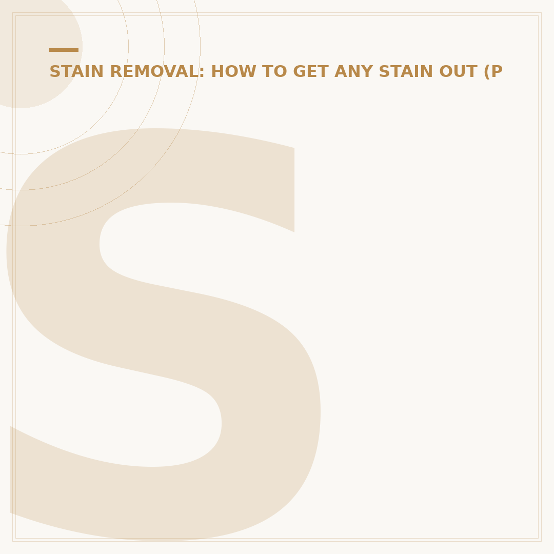 Shout Stain Remover Spray: Effective Laundry Stain Solutions