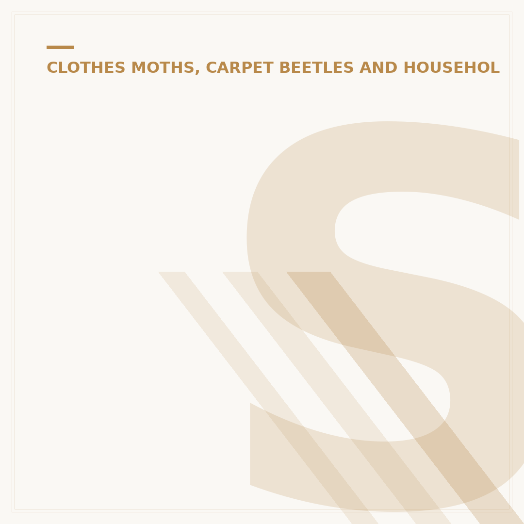 Signs of Carpet Beetles: Identification and Prevention