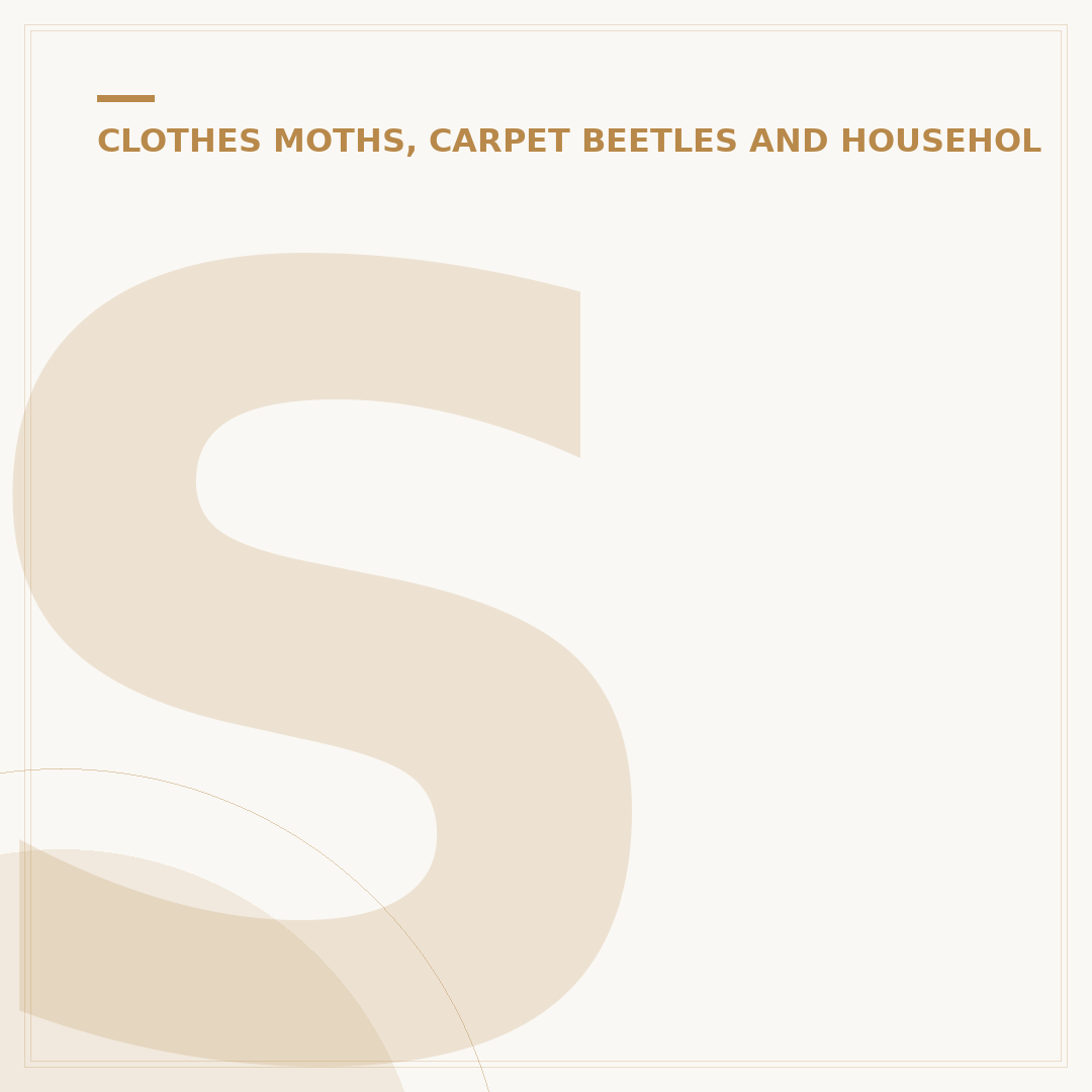 Signs of Clothes Moths in Your Home