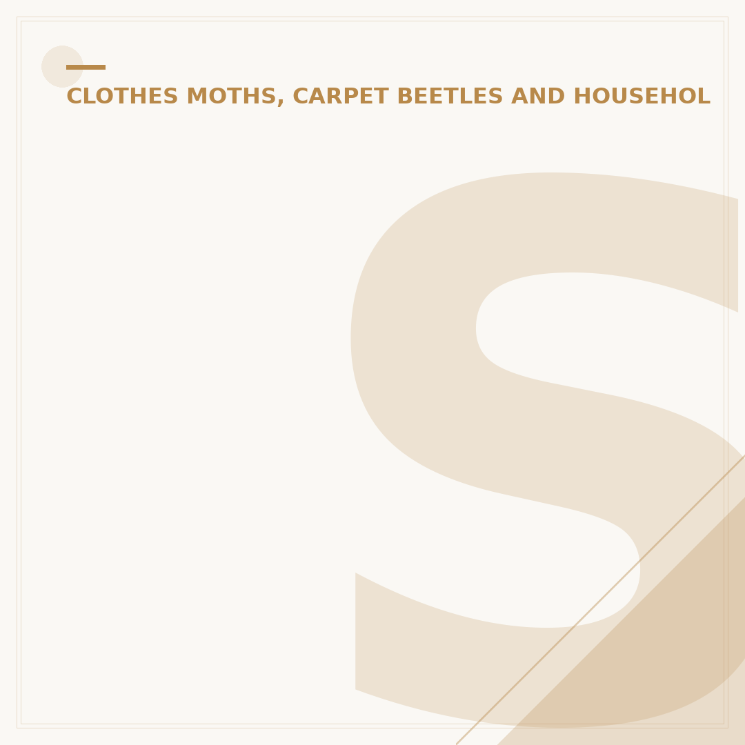 Silverfish Bug in House: Identification & Control