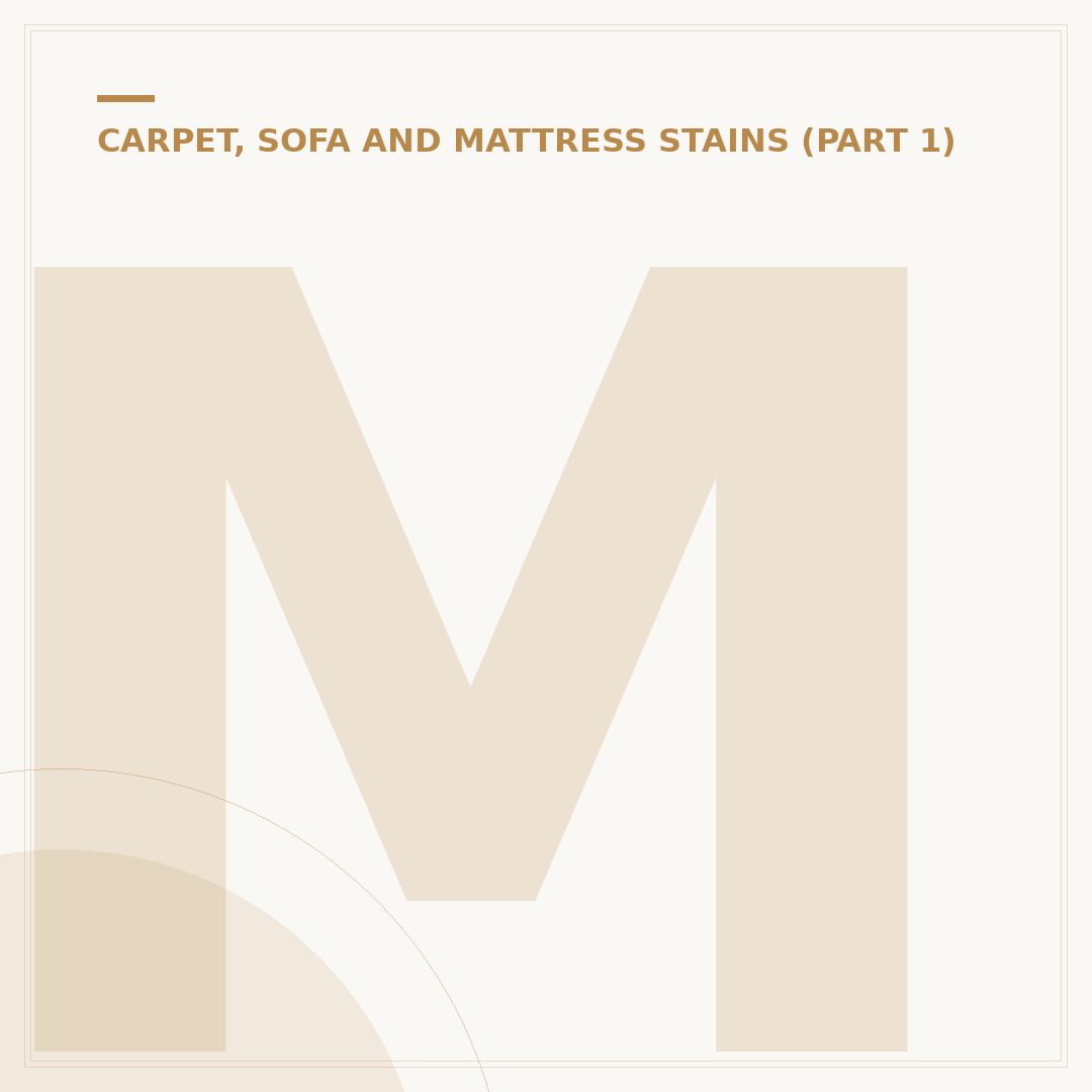 Mattress Stain Removal