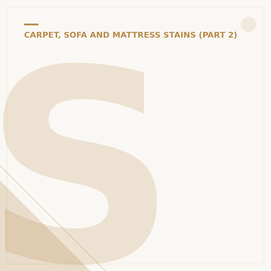 Stain Repellent Carpet Explained