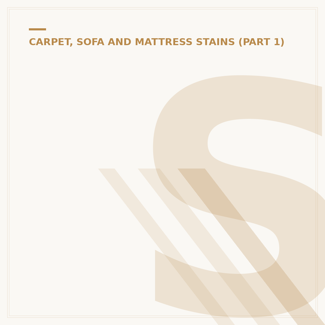 Stain Resistant Carpet: What It Is & How It Works
