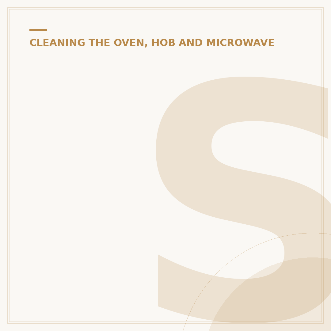 Stainless Steel Hob Cleaner