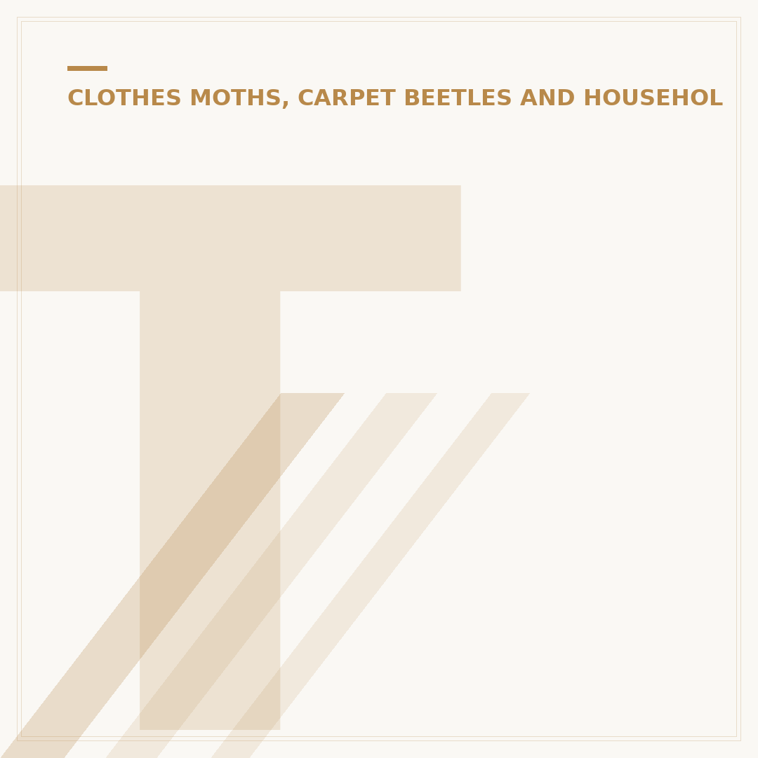 Tiny Carpet Beetle: Identification, Causes & Eradication