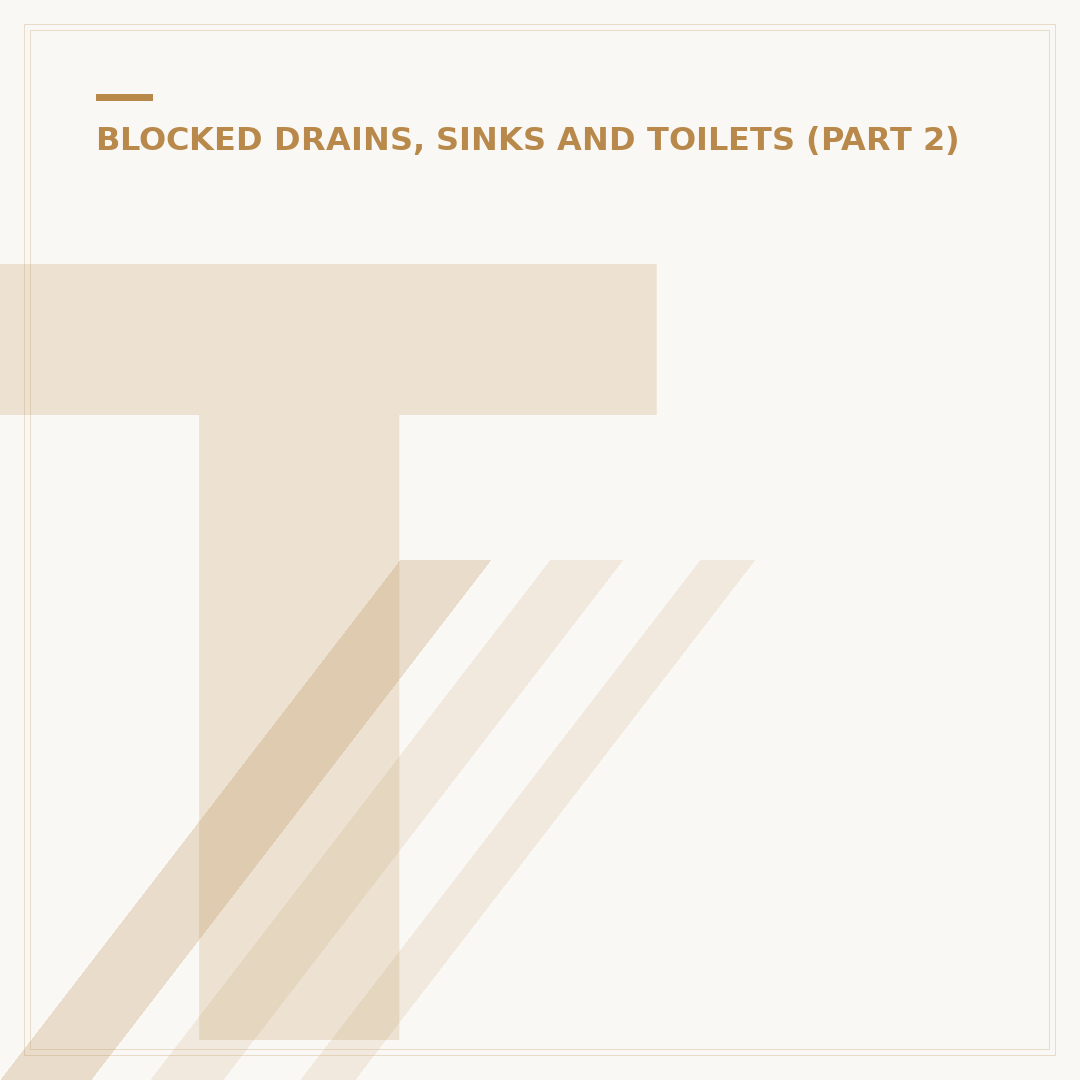 Toilet Blockage Cleaner: What You Need to Know