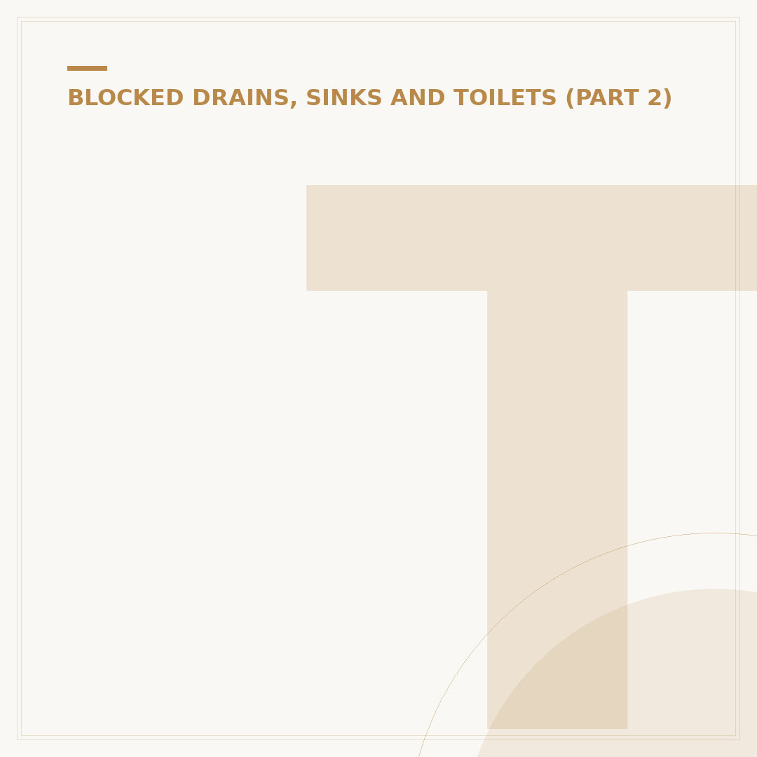 Toilet Blocked With Poo: How to Unblock It