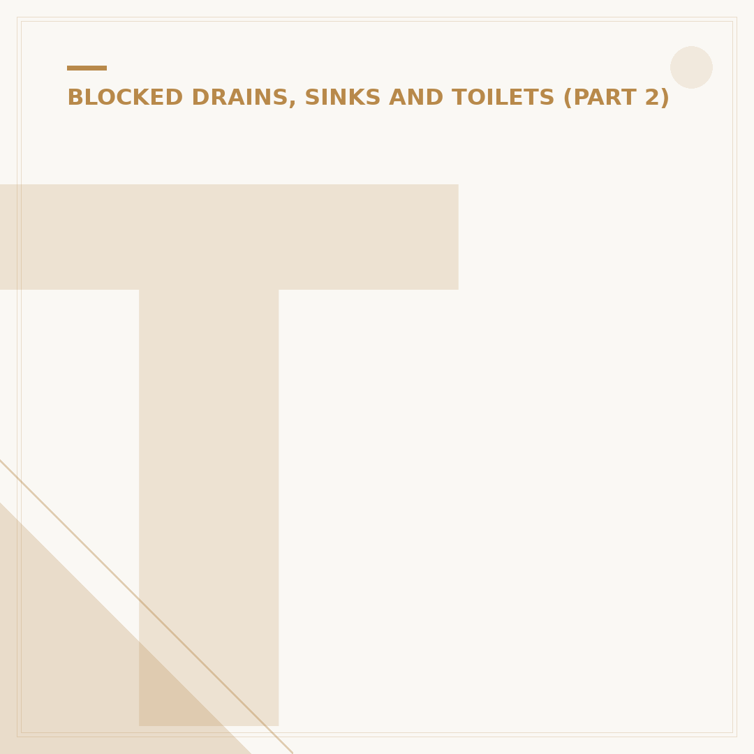 Toilet Blocked With Tissue: How to Unblock & Prevent
