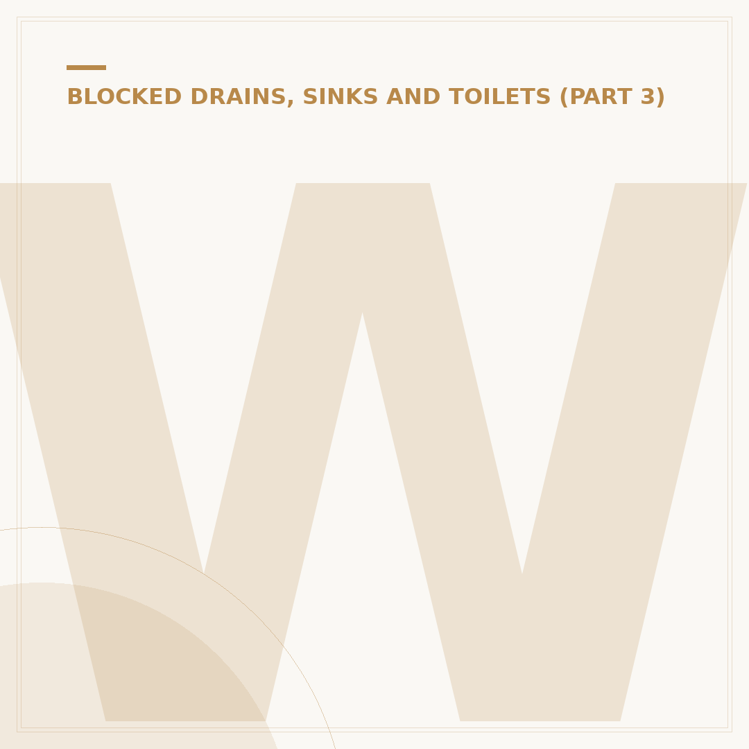 What to Do When Your Toilet is Blocked