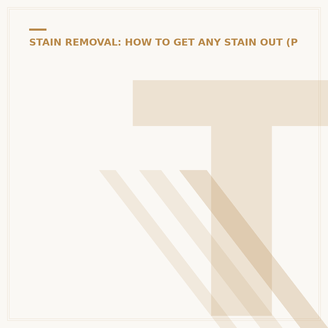 Toilet Cleaner for Stains