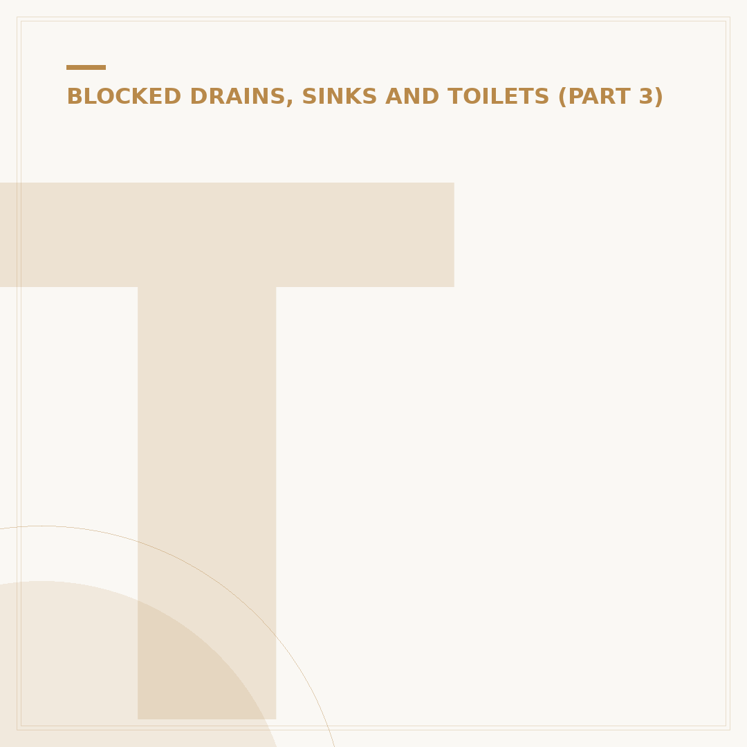 Toilet Rod Unblocker: Fix Blockages Effectively