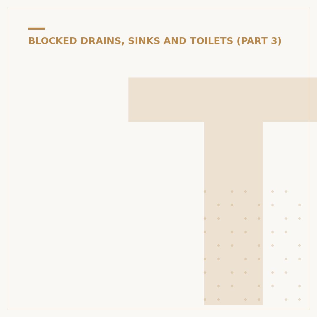 Toilet Snake Unblocker: Fix Blockages Effectively