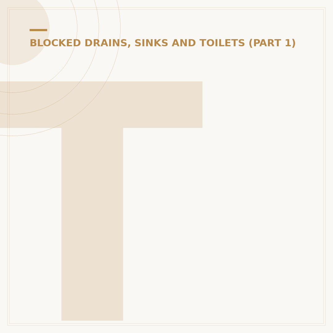 Toilet Unblocker Liquid: How to Choose & Use