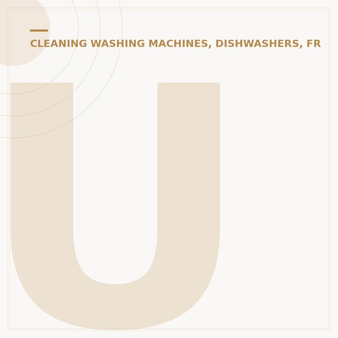 Upholstery Steam Cleaner