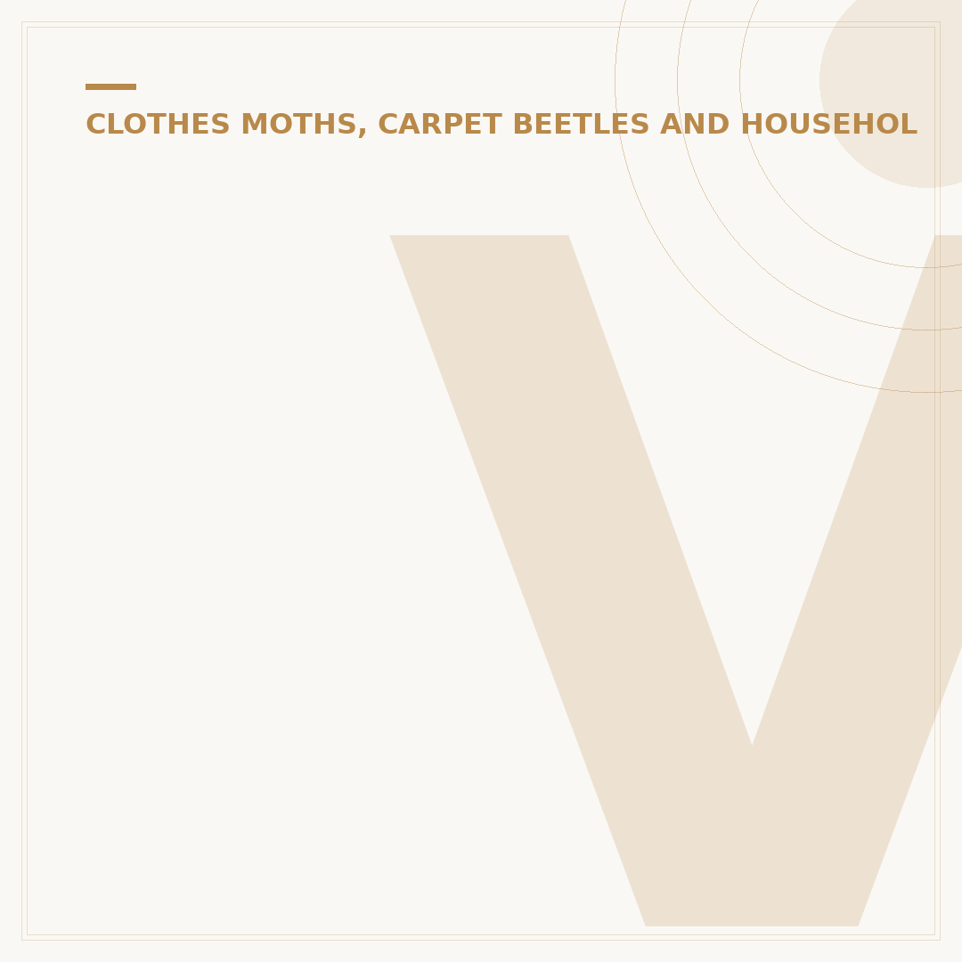 Varied Carpet Beetle: Identification and Control