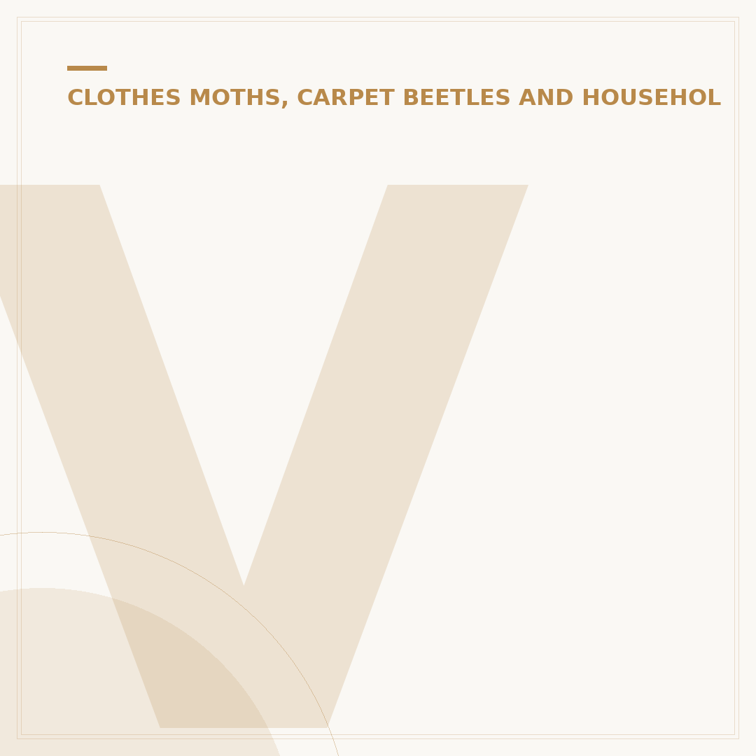 Varied Carpet Beetle Life Cycle Explained