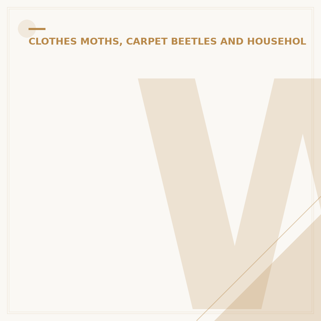 Where Do Varied Carpet Beetles Come From?