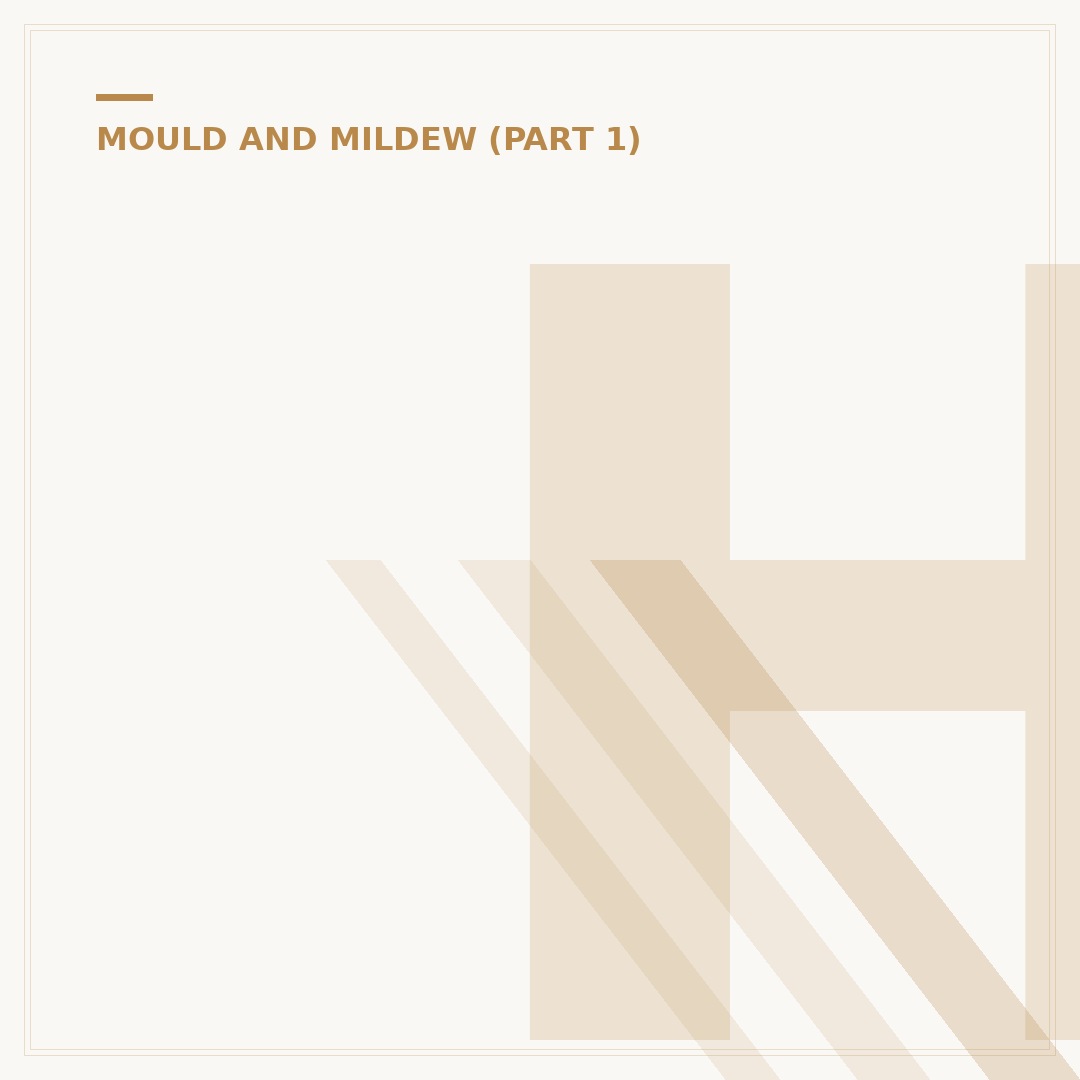 How to Wash Off Mold on Clothes Effectively