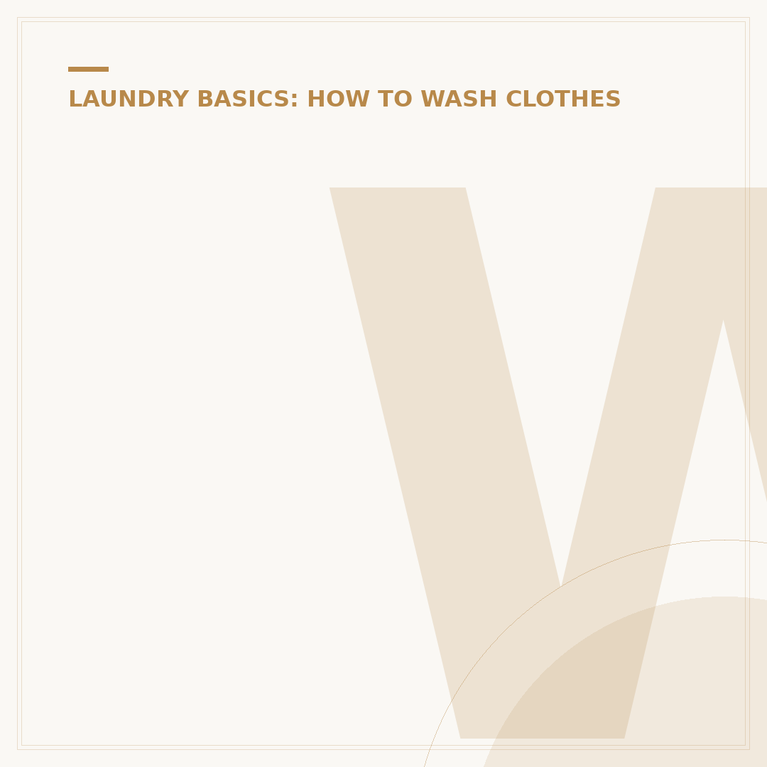 Wash N Go Laundry Services: What to Expect