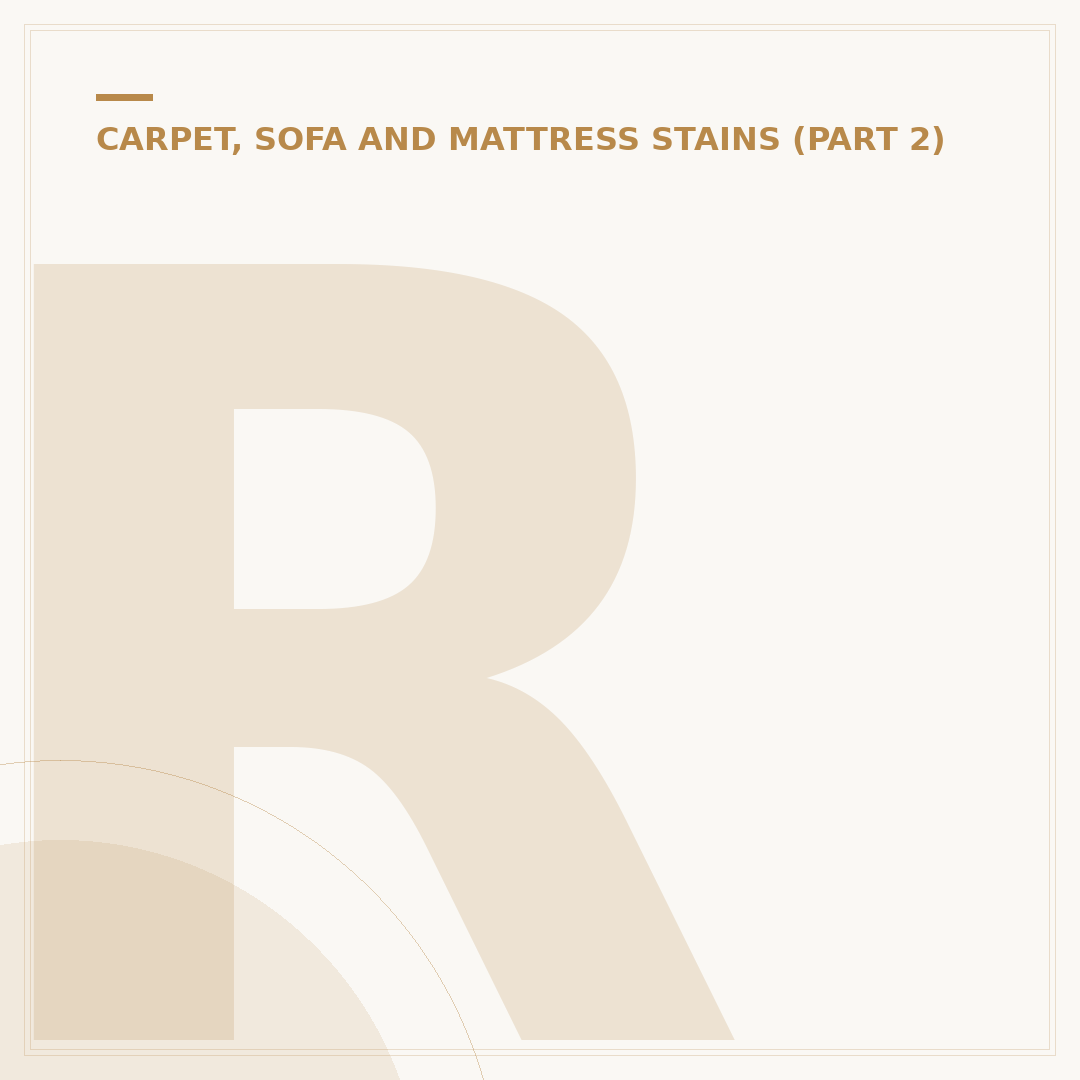 Remove Water Stains From Carpet Effectively