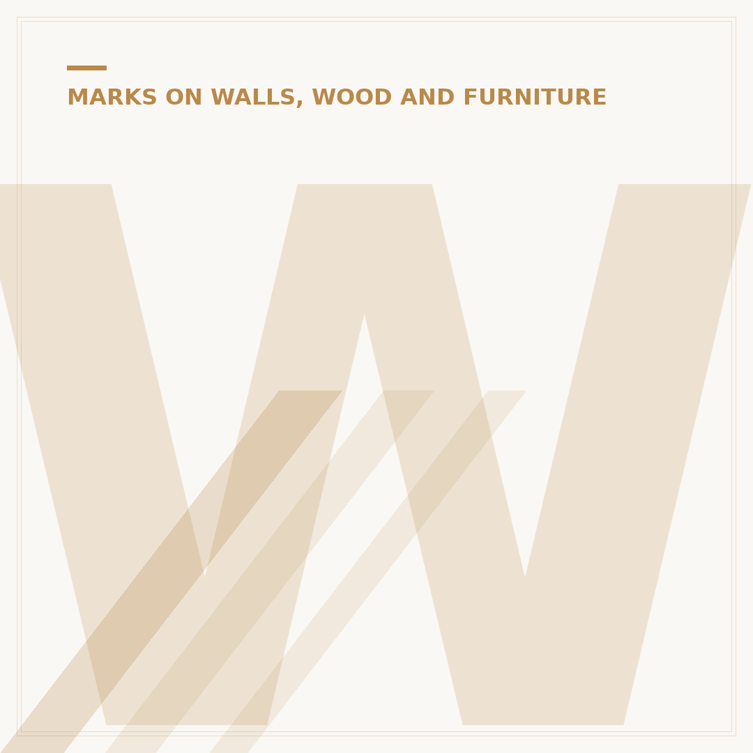 Water Stain on Ceiling: Causes, Removal, and Prevention