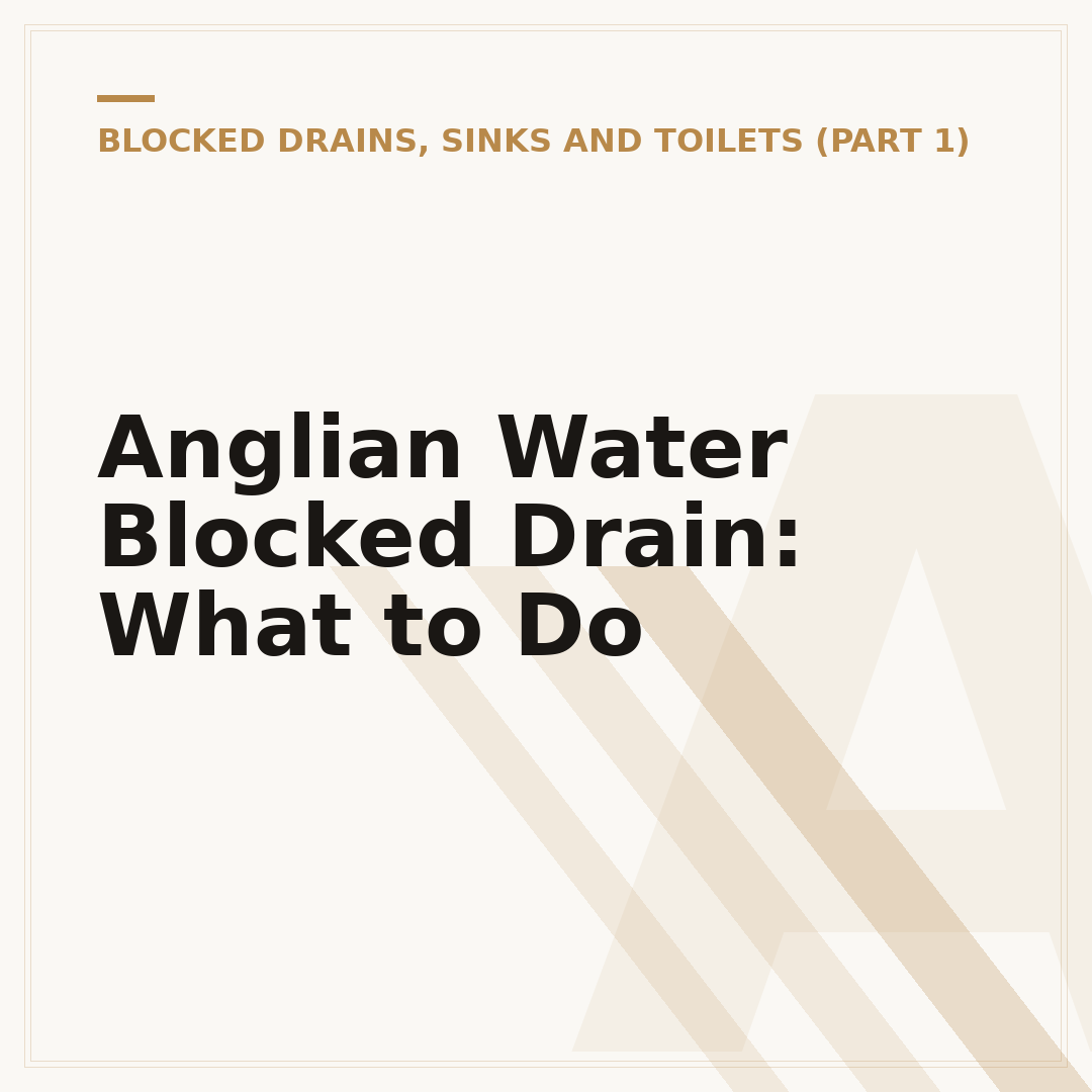 Anglian Water Blocked Drain: What to Do