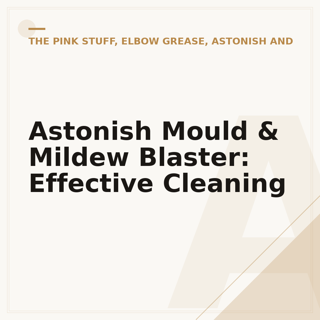 Astonish Mould & Mildew Blaster: Effective Cleaning