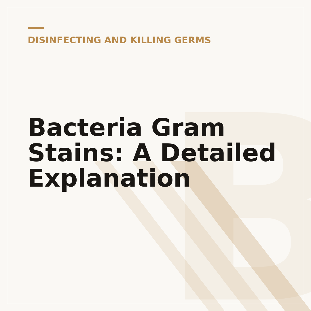 Bacteria Gram Stains: A Detailed Explanation