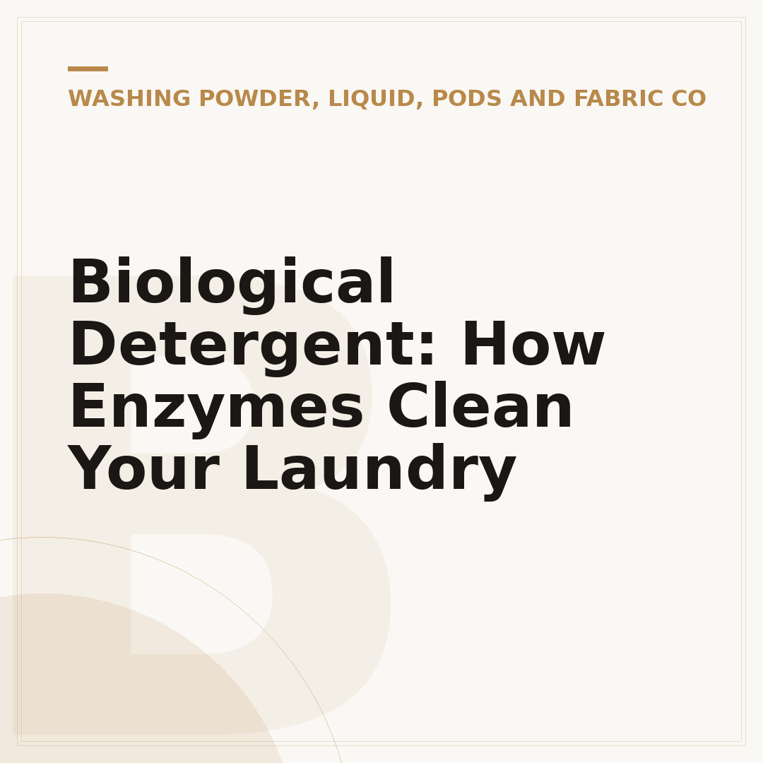 Biological Detergent: How Enzymes Clean Your Laundry