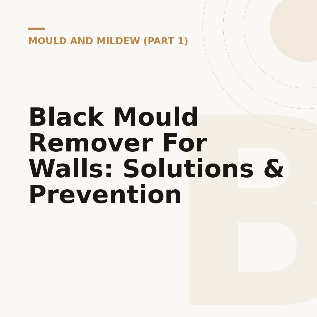 Black Mould Remover For Walls: Solutions & Prevention