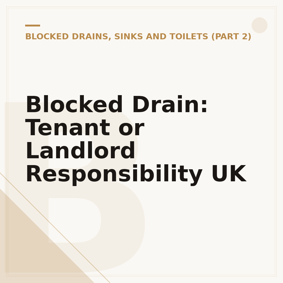 Blocked Drain: Tenant or Landlord Responsibility UK