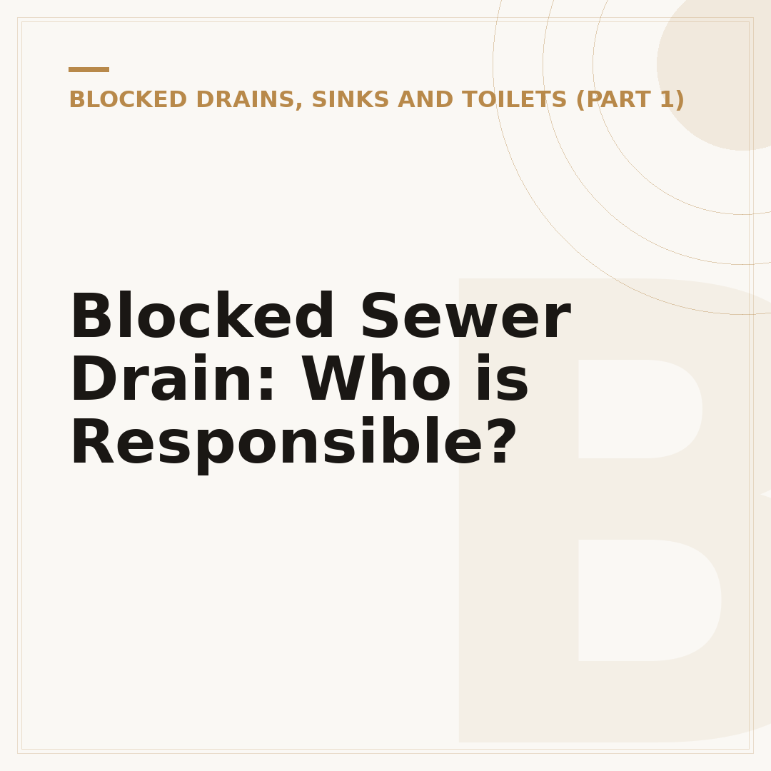 Blocked Sewer Drain: Who is Responsible?
