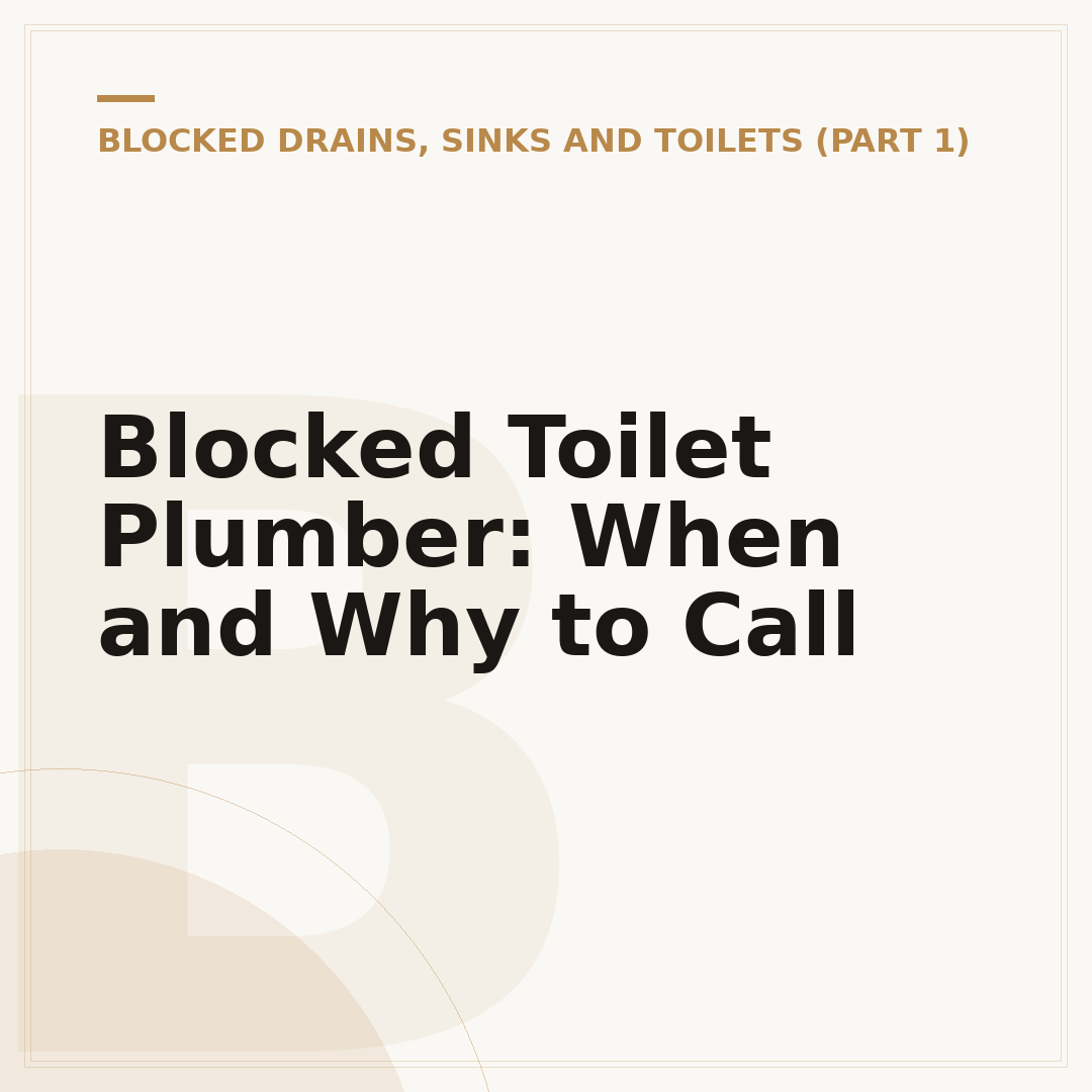Blocked Toilet Plumber: When and Why to Call