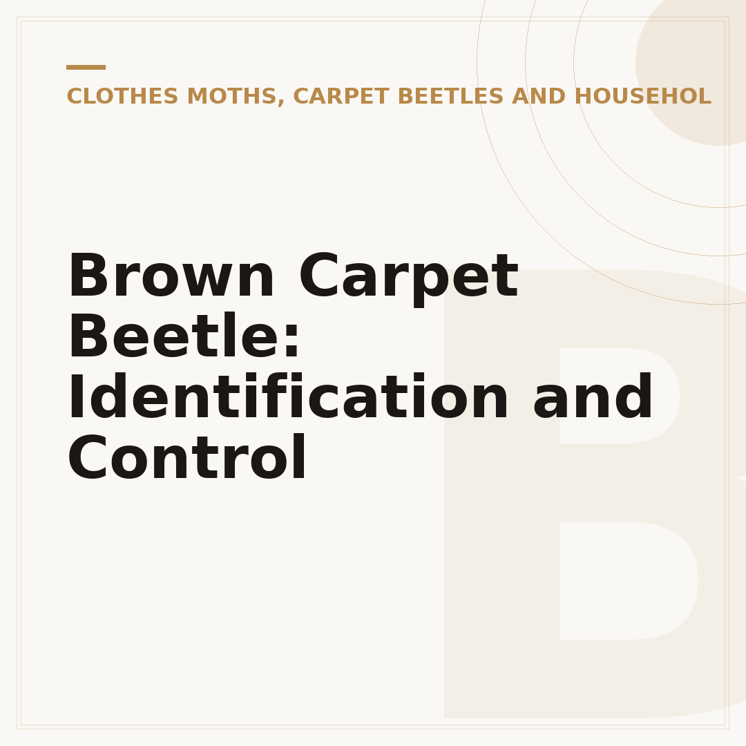 Brown Carpet Beetle: Identification and Control