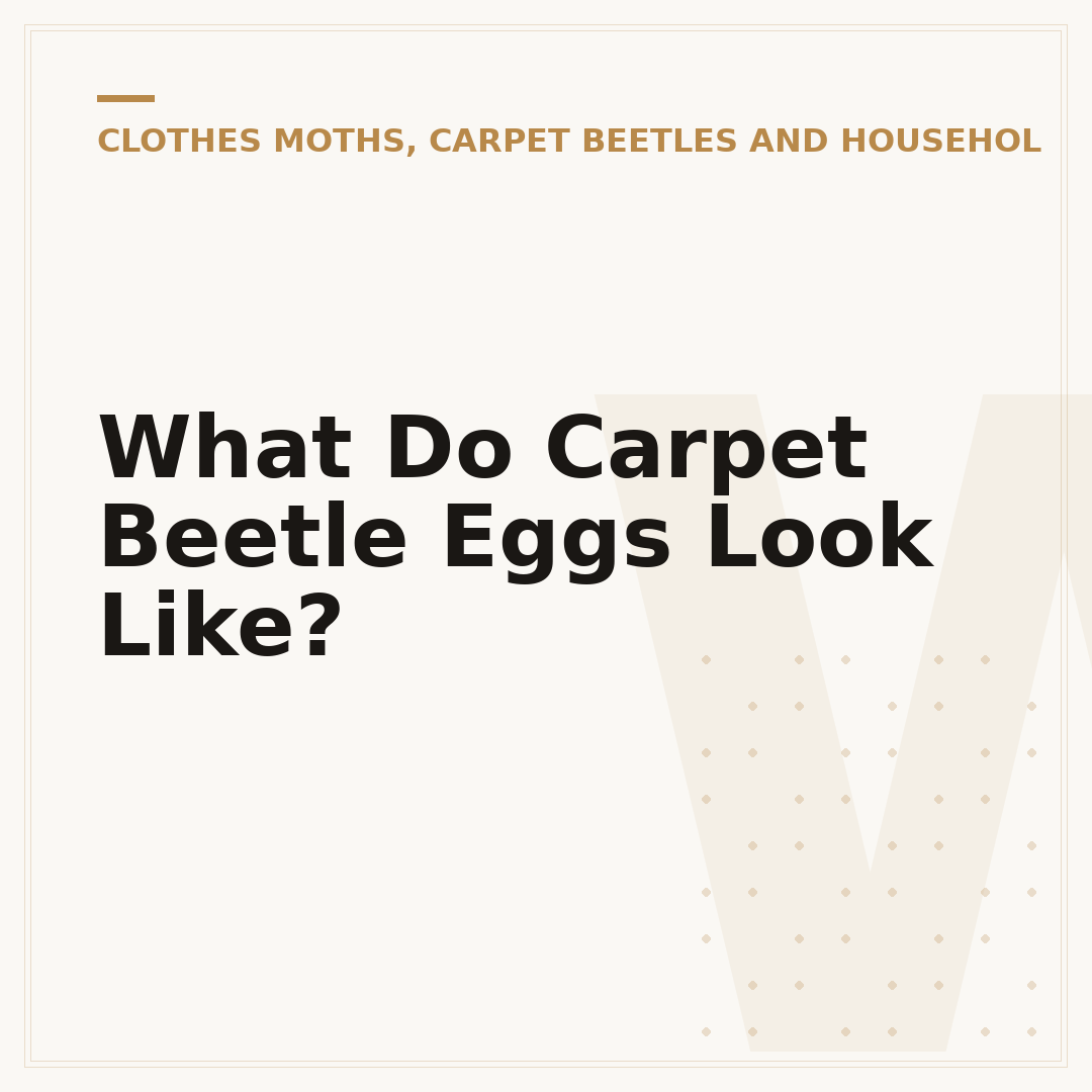 What Do Carpet Beetle Eggs Look Like?