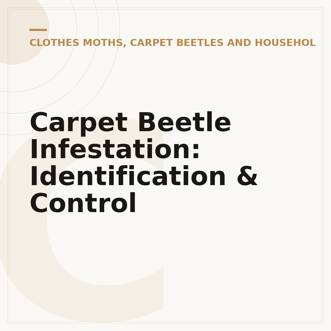 Carpet Beetle Infestation: Identification & Control