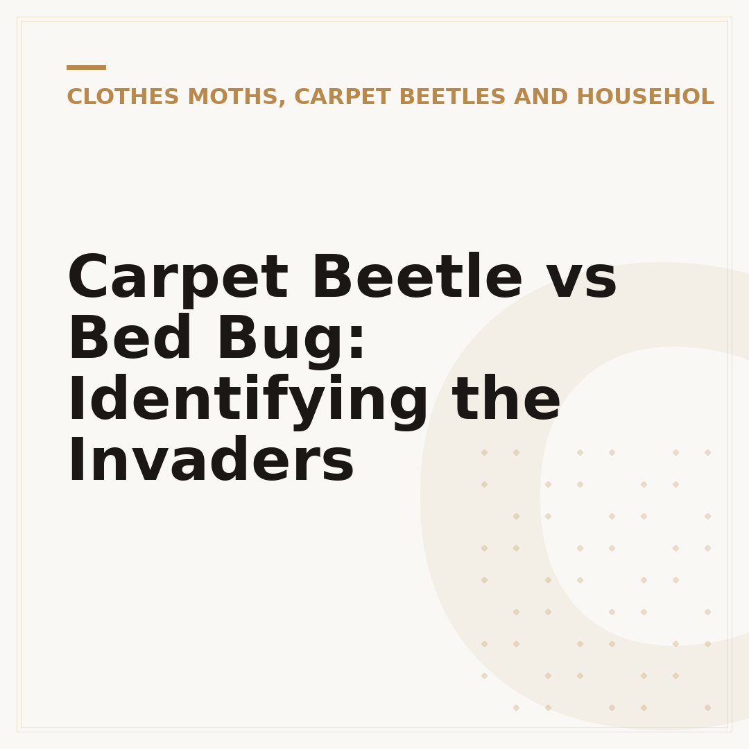 Carpet Beetle vs Bed Bug: Identifying the Invaders