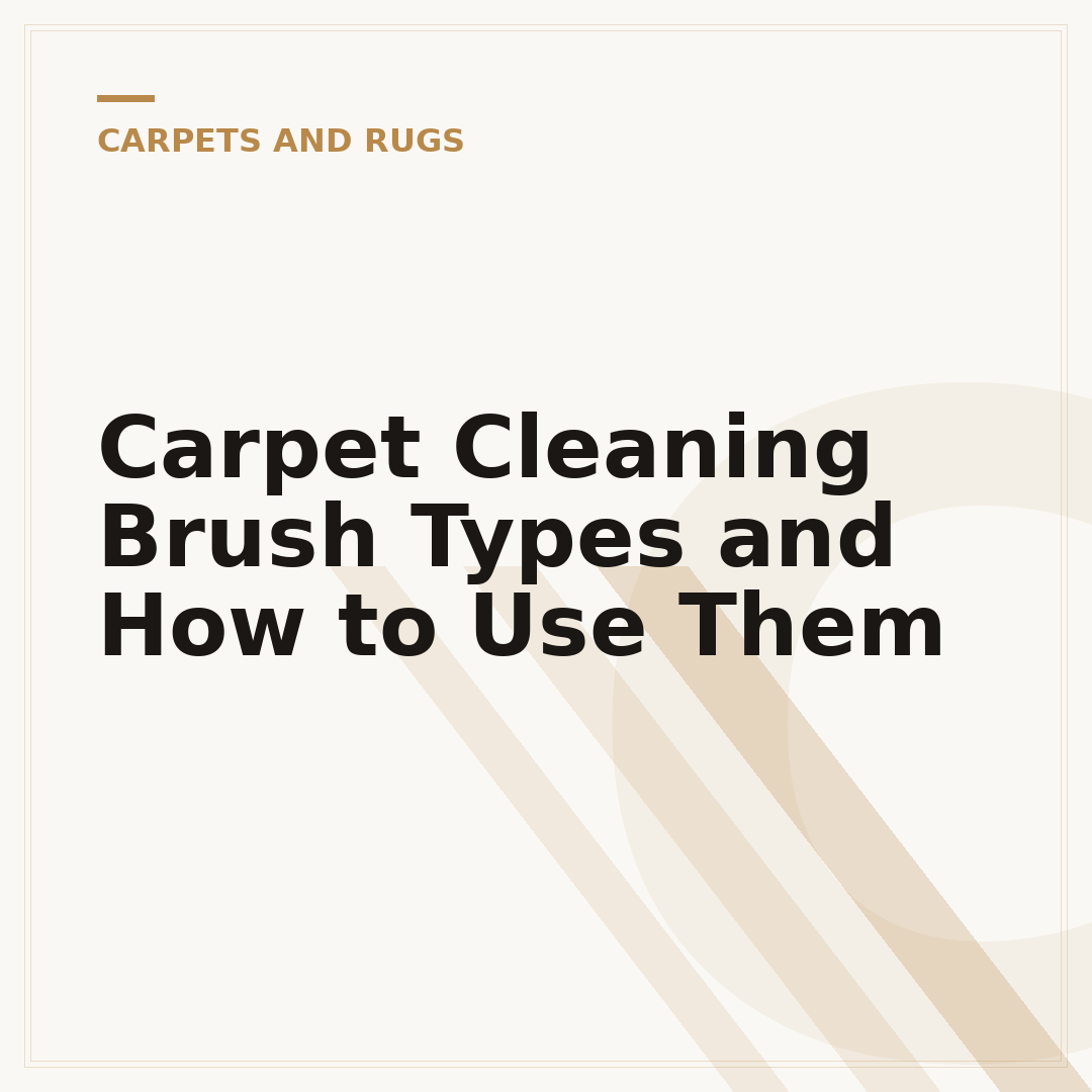Carpet Cleaning Brush Types and How to Use Them