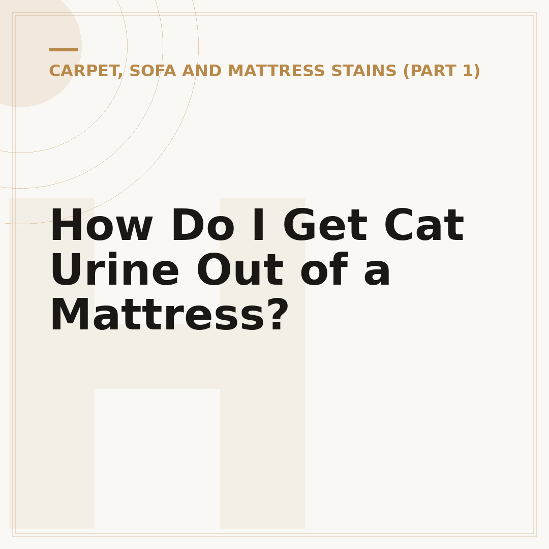 How Do I Get Cat Urine Out of a Mattress?