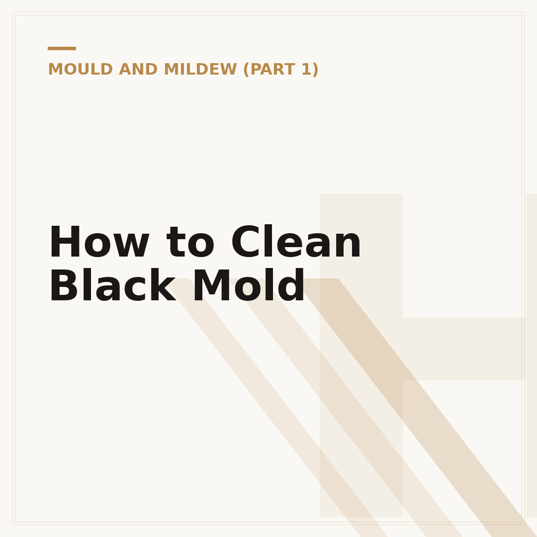 How to Clean Black Mold
