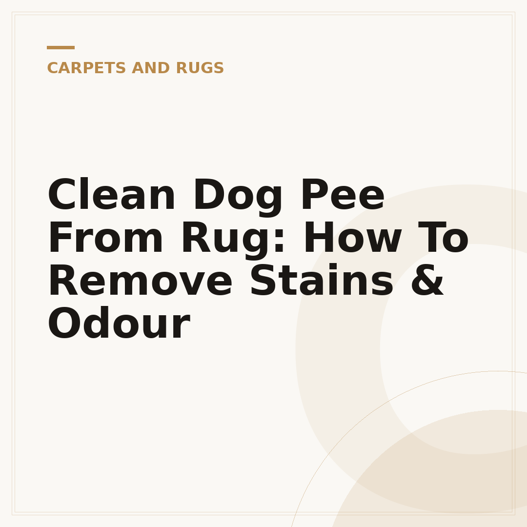 Clean Dog Pee From Rug: How To Remove Stains & Odour