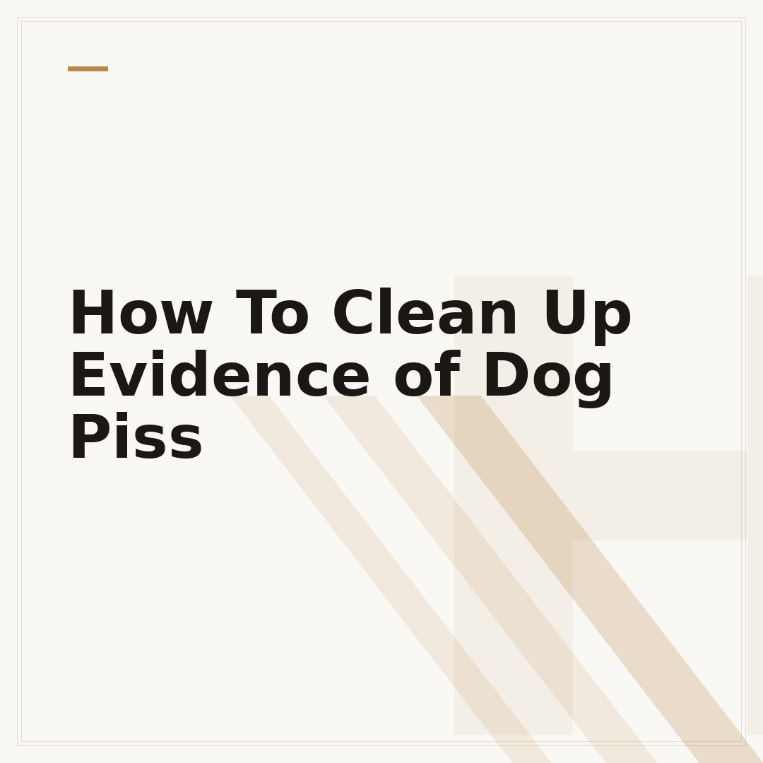 How To Clean Up Evidence of Dog Piss