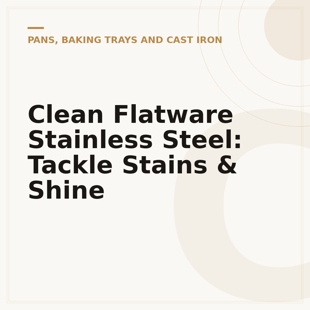 Clean Flatware Stainless Steel: Tackle Stains & Shine