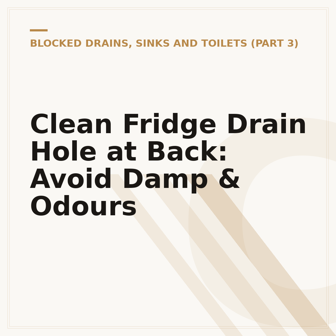 Clean Fridge Drain Hole at Back: Avoid Damp & Odours